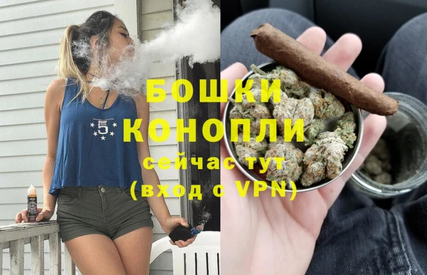 Альфа ПВП Инта