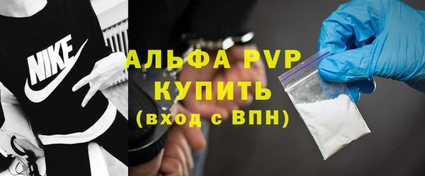 прущий лед Инсар