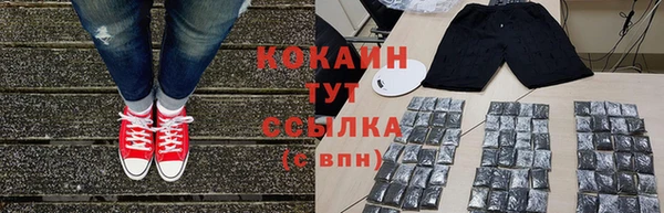 прущий лед Инсар