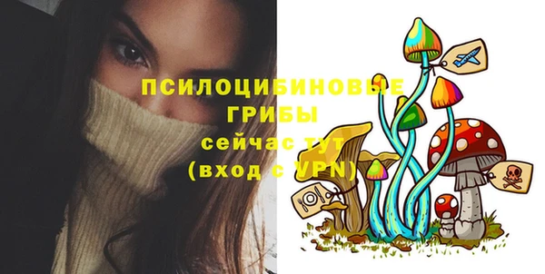 прущий лед Инсар
