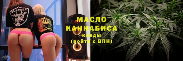 Альфа ПВП Инта