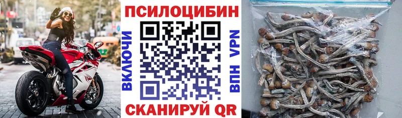 Псилоцибиновые грибы Psilocybine cubensis  Мирный 